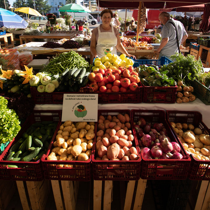 City Galleria Opg Vidaić 